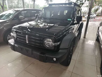 2021 Tank 300 Off-road Version 2.0T Conqueror, фото 1, лот 11089061