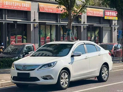 2018 Changan Eado New Energy EV300 Premium, фото 1, лот 10764113