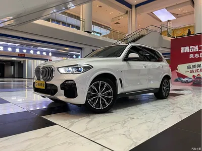 2020 BMW X5 (Import) xDrive40i M Sport Package, фото 3, лот 10432558