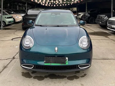 2024 Ora Good Cat 401km Premium 126kW, фото 2, лот 10332204