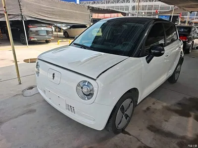 2021 Ora Black Cat 301km Pet Edition, фото 1, лот 11182310