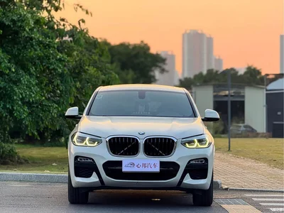 2019 BMW X4 xDrive25i M Sport Package, фото 2, лот 10409681