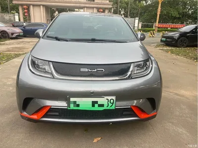 2021 BYD Dolphin Model 405km Fashion Edition, фото 1, лот 10254221