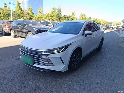 2024 BYD Destroyer 05 Glory Edition DM-i 55KM Luxury, фото 2, лот 11545452