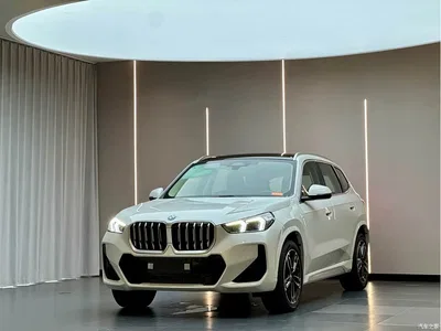2025 BMW X1 sDrive25Li M Sport Package, фото 1, лот 10237764