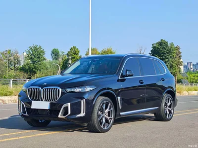 2023 BMW X5 xDrive 30Li Premium M Sport Package, фото 1, лот 10416174