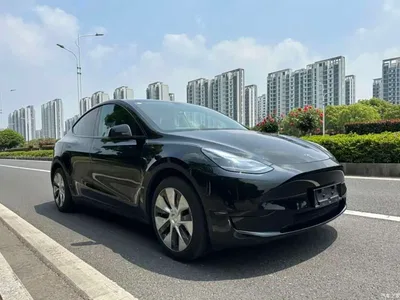 2022 Tesla Model Y Rear-Wheel Drive Version, фото 3, лот 11188070