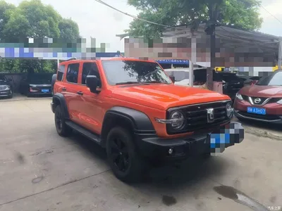 2021 Tank 300 Off-road Version 2.0T Conqueror, фото 3, лот 10344797