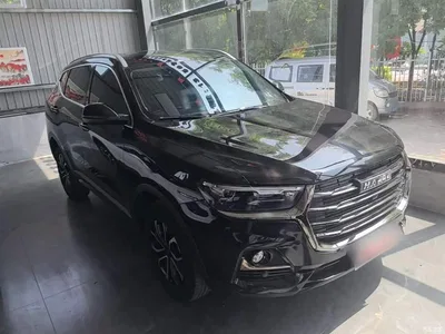 2021 Haval H6 National Trend Edition 1.5T Automatic Urban Edition, фото 4, лот 10287109