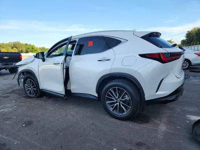 2024 LEXUS NX 250 PREMIUM, фото 2, лот 11387929