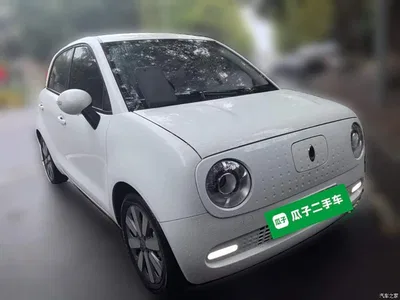 2021 Ora Black Cat 351km Luxury Model, фото 3, лот 11476234