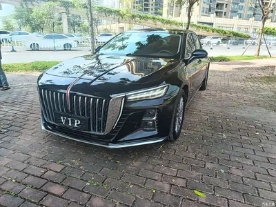 2023 Hongqi H5 1.5T DCT Smart Connect Joy Edition, фото 1, лот 11177817