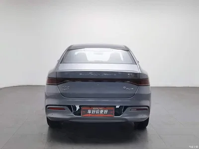 2021 BYD Qin PLUS DM-i 120KM Flagship, фото 4, лот 11252453