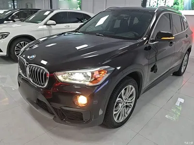 2018 BMW X1 sDrive20Li Leading Model, фото 1, лот 10467378