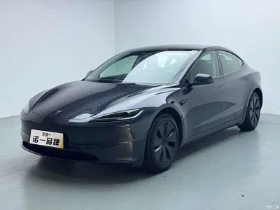 2023 Tesla Model 3 Rear-Wheel Drive, фото 1, лот 10355063