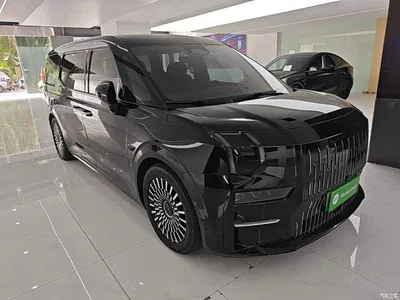 2022 ZEEKR 009 WE Edition, фото 4, лот 10292148