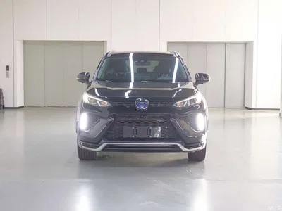 2021 Toyota Wildlander New Energy High Performance Edition 2.5L 4WD Turbo Edition, фото 2, лот 10270514