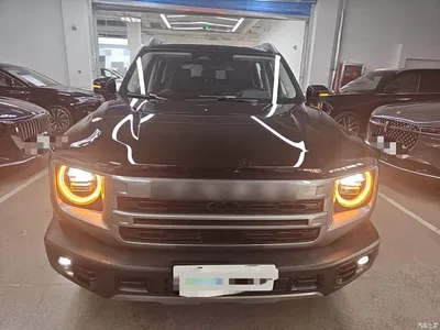 2024 Haval Big Dog 1.5T DCT Border Collie Edition, фото 3, лот 10886581