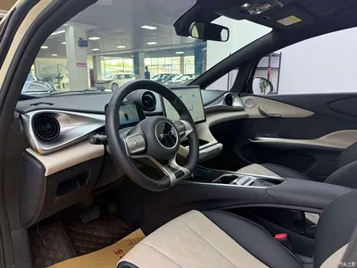 2024 BYD Dolphin Glory Edition 420km Fashion Edition, фото 4, лот 10255266