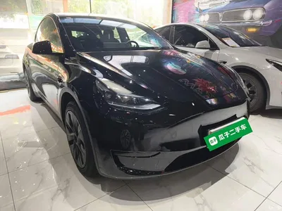 2024 Tesla Model Y Rear-Wheel Drive Version, фото 4, лот 10370649