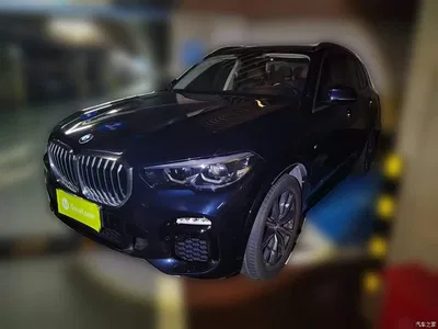 2019 BMW X5 (Import) xDrive30i M Sport Package, фото 1, лот 11174902