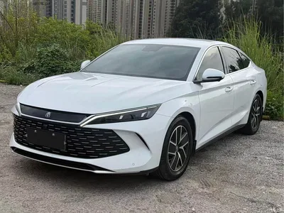 2024 BYD Qin L DM-i 80KM Superior, фото 1, лот 10252519