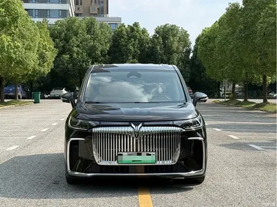 2025 Voyah Auto Voyah Dreamer PHEV AWD Flagship Kunpeng Edition, фото 2, лот 10956613