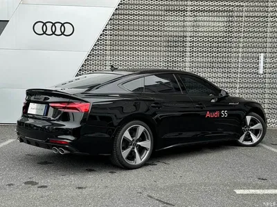 2024 Audi S5 3.0T Sportback, фото 4, лот 10476689
