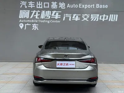 2021 Lexus ES 200 Excellence Edition, фото 4, лот 10312166
