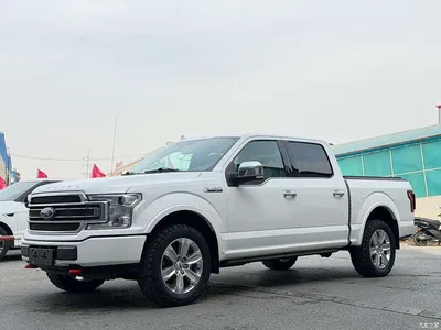2019 Ford F-150 Raptor 3.5T LTD, фото 1, лот 10296704