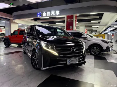2023 GAC Trumpchi Trumpchi M8 Leading Series 390T Luxury Edition, фото 3, лот 10416948
