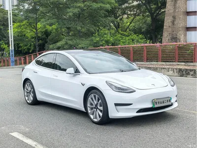 2019 Tesla Model 3 Standard Range Rear-Wheel Drive Upgrade, фото 3, лот 10355619