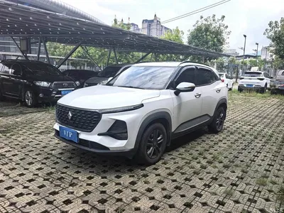 2020 Baojun RS-3 1.5L CVT 24-hour Online Elite Model, фото 1, лот 10674996