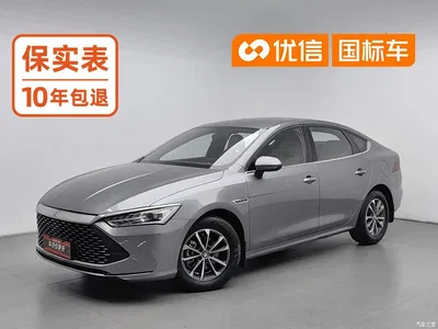 2023 BYD Qin PLUS Champion Edition DM-i 55KM Leading, фото 1, лот 10364419