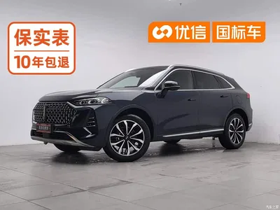 2021 WEY Mocha 2.0T 2WD Extra Rich Edition, фото 1, лот 11165162