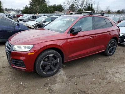 2019 AUDI SQ5 PREMIUM PLUS, фото 1, лот 10856923
