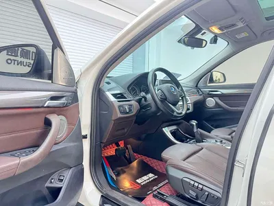 2018 BMW X1 New Energy xDrive25Le Luxury Model, фото 4, лот 10427969