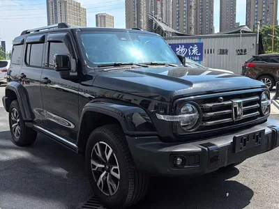 2024 Tank 300 2.0T Explorer, фото 2, лот 10606217