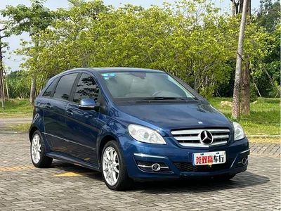 2009 Mercedes-Benz B-Class B 200 Fashion, фото 3, лот 10287547