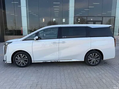 2024 GAC Trumpchi Trumpchi M8 Master Series 400T Premium Edition, фото 3, лот 10417592