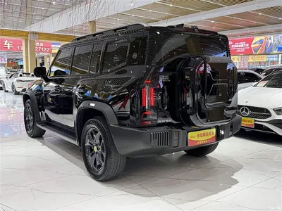 2023 Jetour Traveler Model 2.0T 4WD Cross PRO, фото 4, лот 10285255