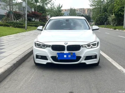 2017 BMW 3 Series 320Li M Sport, фото 2, лот 11180294
