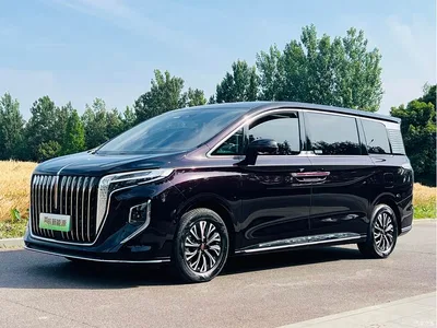 2024 Hongqi HQ9 PHEV Model 2.0T AWD Luxury Edition, фото 1, лот 10285561