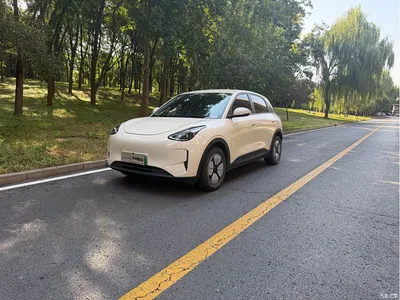 2025 Geely Galaxy Starry Wish 310km Youth Edition, фото 1, лот 10834451