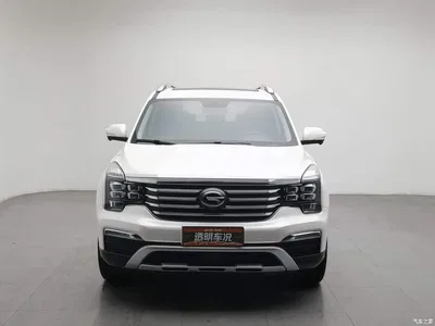 2017 GAC Trumpchi Trumpchi GS8 320T 2WD Luxury Smart Connect (7-seater), фото 3, лот 10415620