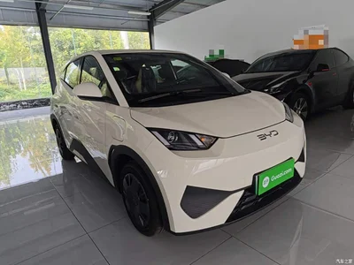 2025 BYD Seagull Smart Drive Edition 305km Vitality Version, фото 4, лот 11183308
