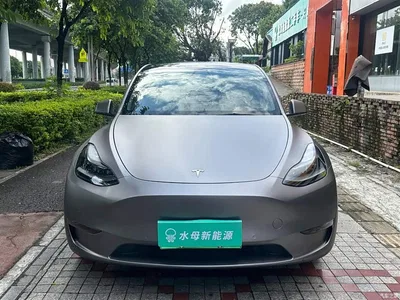 2021 Tesla Model Y Standard Range Rear-Wheel Drive, фото 2, лот 10479330