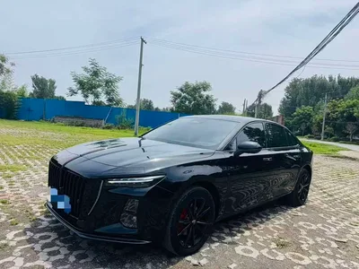 2025 Hongqi H5 2.0T Automatic Mystic Shadow, фото 1, лот 10288000
