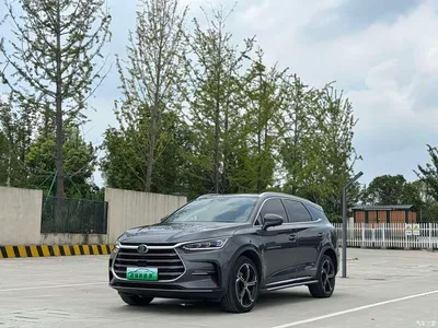 2021 BYD Tang New Energy DM-i 112KM Premium, фото 1, лот 10274051