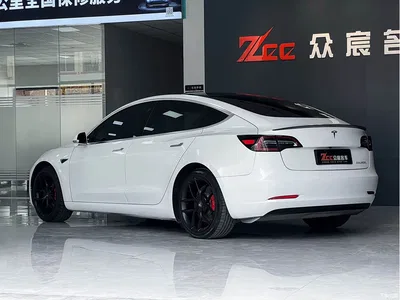 2019 Tesla Model 3 (Import) Performance High-Efficiency All-Wheel Drive Version, фото 3, лот 10367160